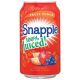 Snapple Fruit Punch-11.5oz(24)