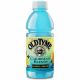 Old Tyme Blue Lemonade-20oz(24